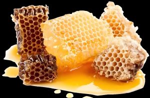 6-蜂蜜